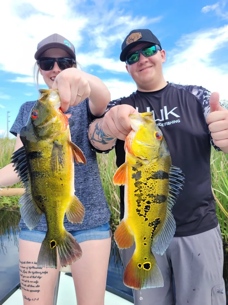 Peacock Bass: Fly Or Spin In Fort Lauderdale