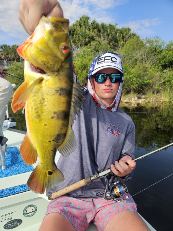 Peacock Bass: Fly Or Spin In Fort Lauderdale