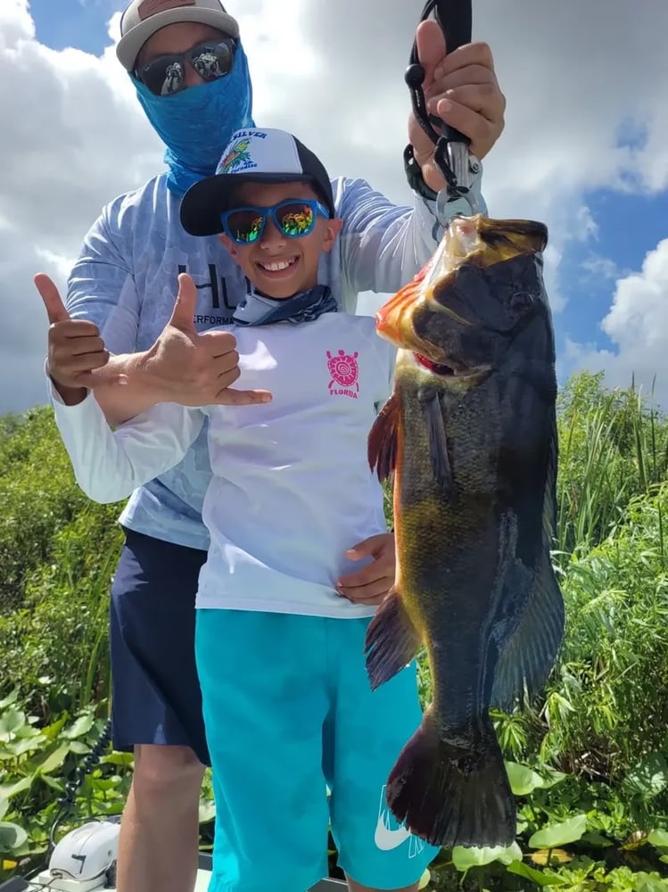 Peacock Bass: Fly Or Spin In Fort Lauderdale