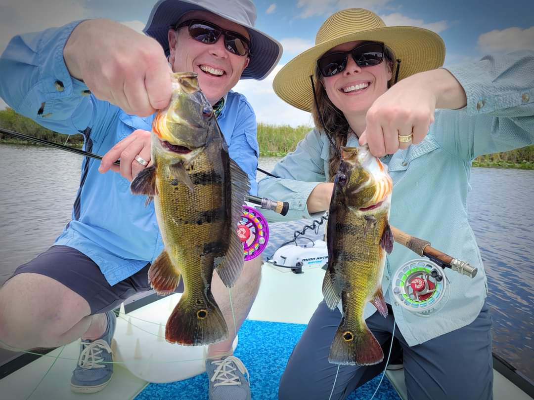 Peacock Bass: Fly Or Spin In Fort Lauderdale