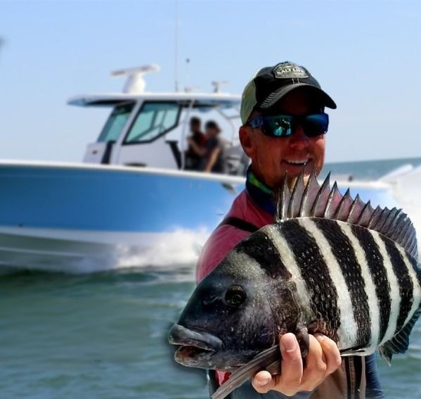 SheepsHead Trips In Crystal River