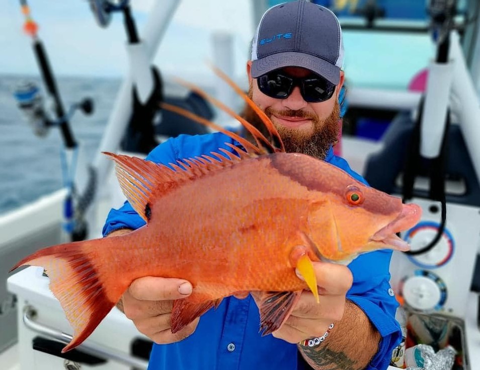 SheepsHead Trips In Crystal River