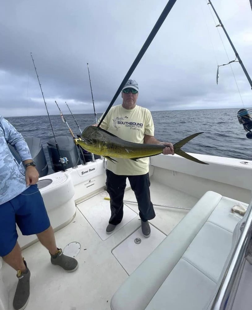 Offshore/Deep Sea - 40' In Gulf Breeze