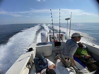 Offshore/Deep Sea - 40' In Gulf Breeze