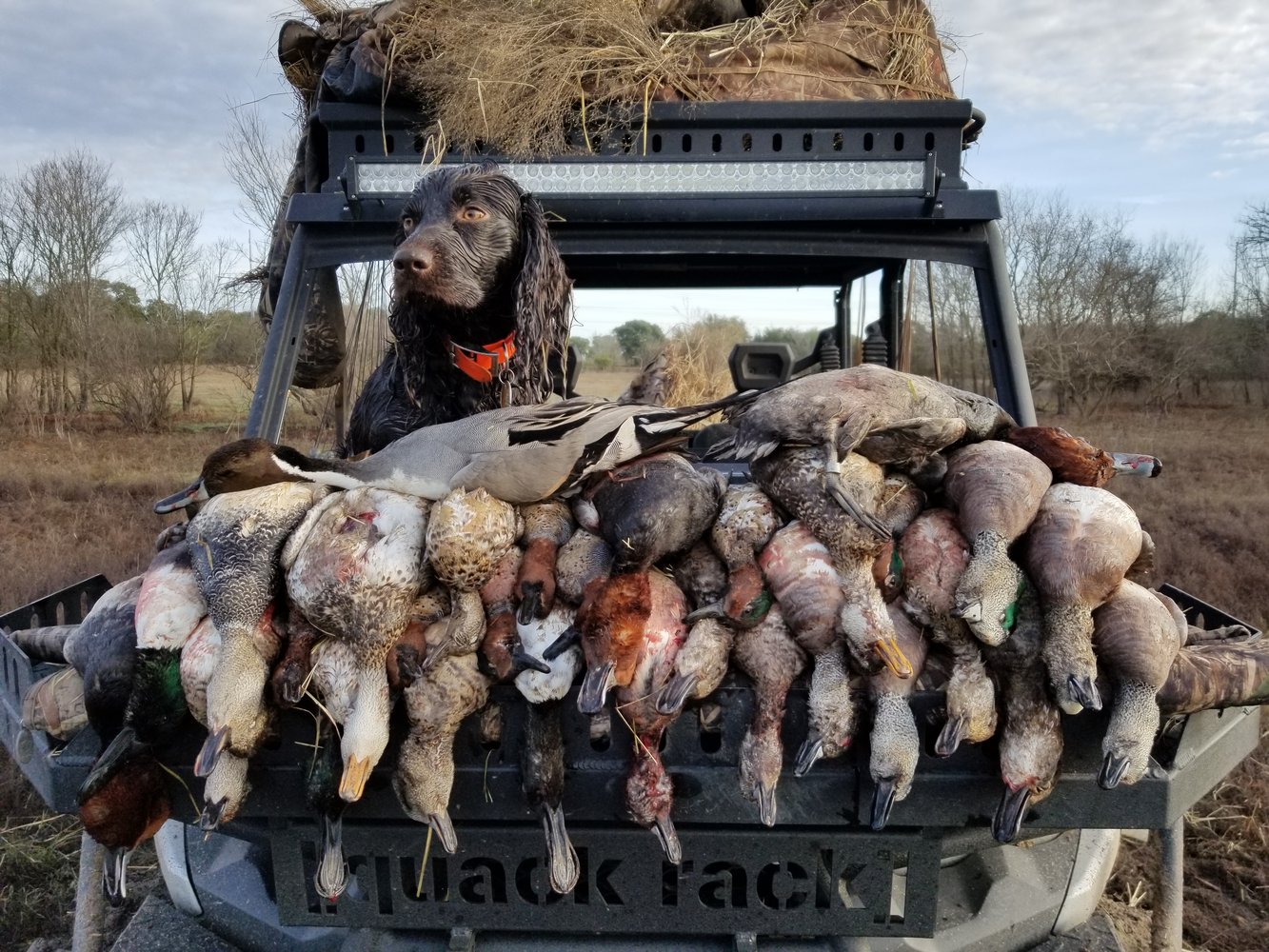 Texas Duck Hunt In Garwood