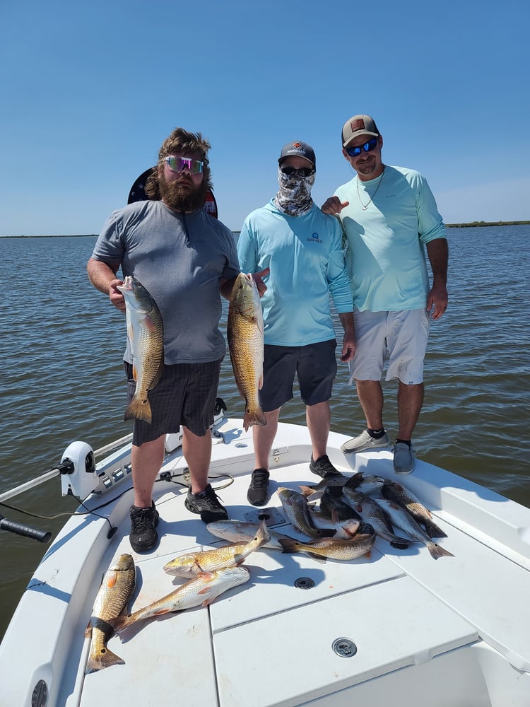 Louisiana Inshore And Bay - 8 Hours In Cypremort Point