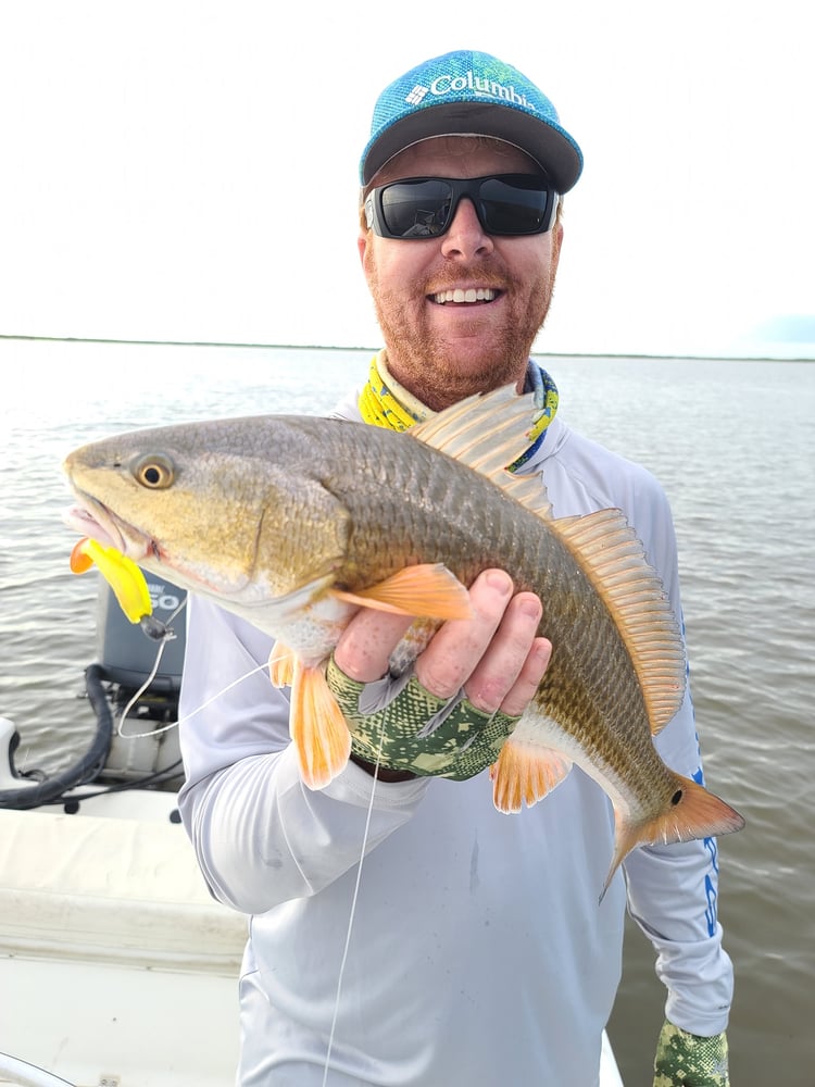 Louisiana Inshore And Bay - 8 Hours In Cypremort Point