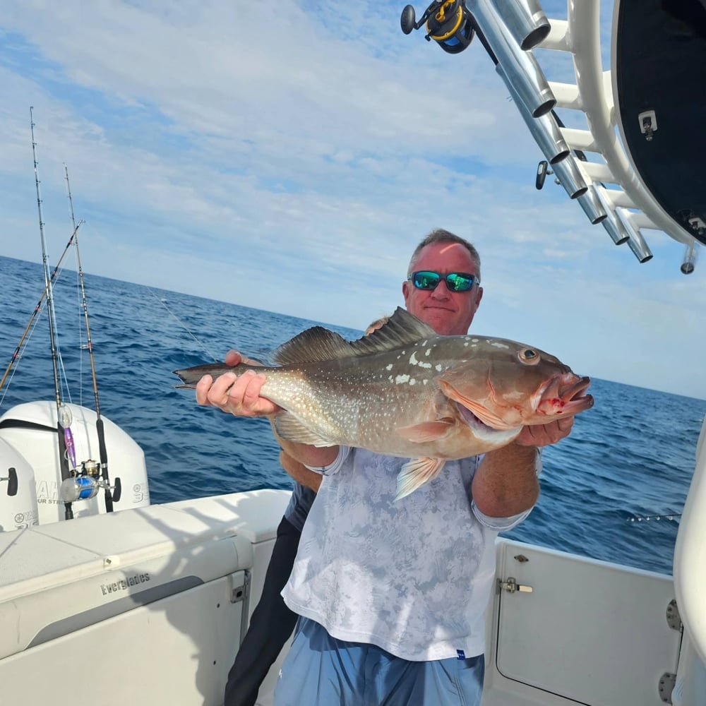 Ultimate Offshore Day Fishing! In Bradenton