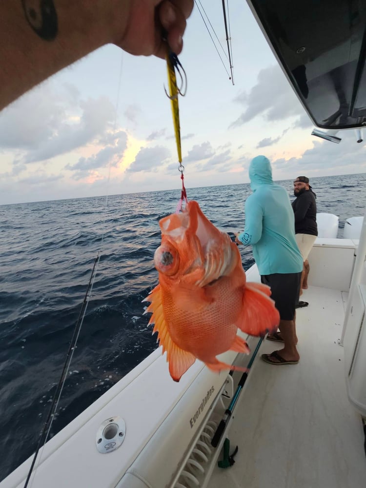 Luxury Bay Fishing Trips In Bradenton