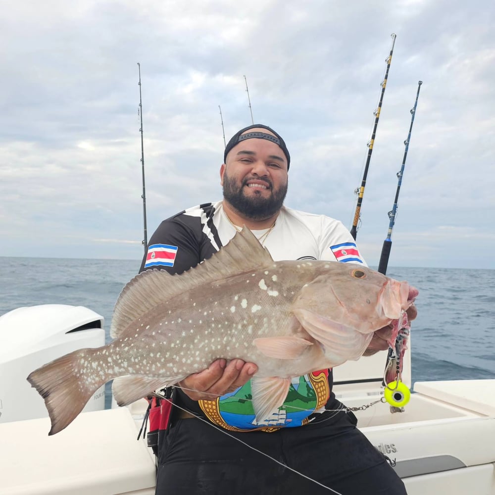 Ultimate Offshore Day Fishing! In Bradenton