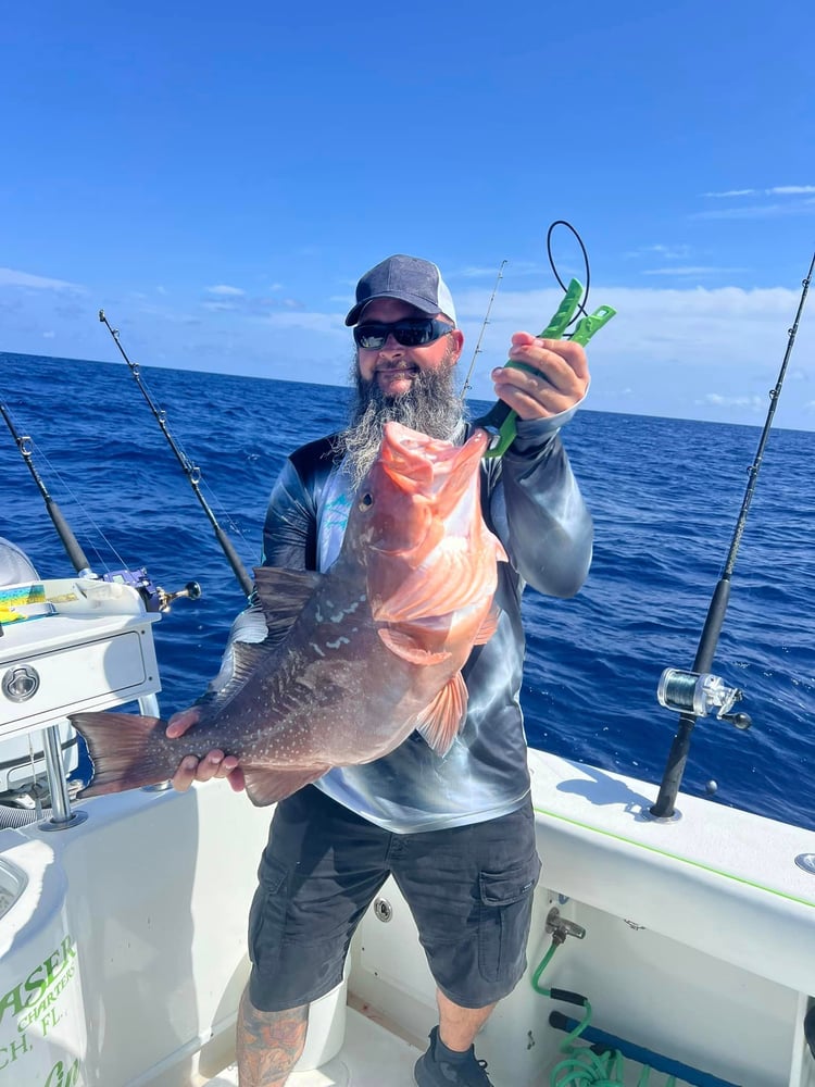 Luxury Bay Fishing Trips In Bradenton