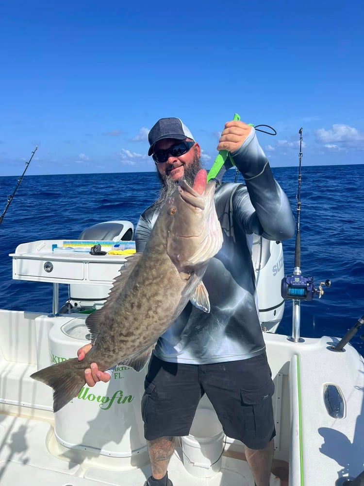 Luxury Bay Fishing Trips In Bradenton