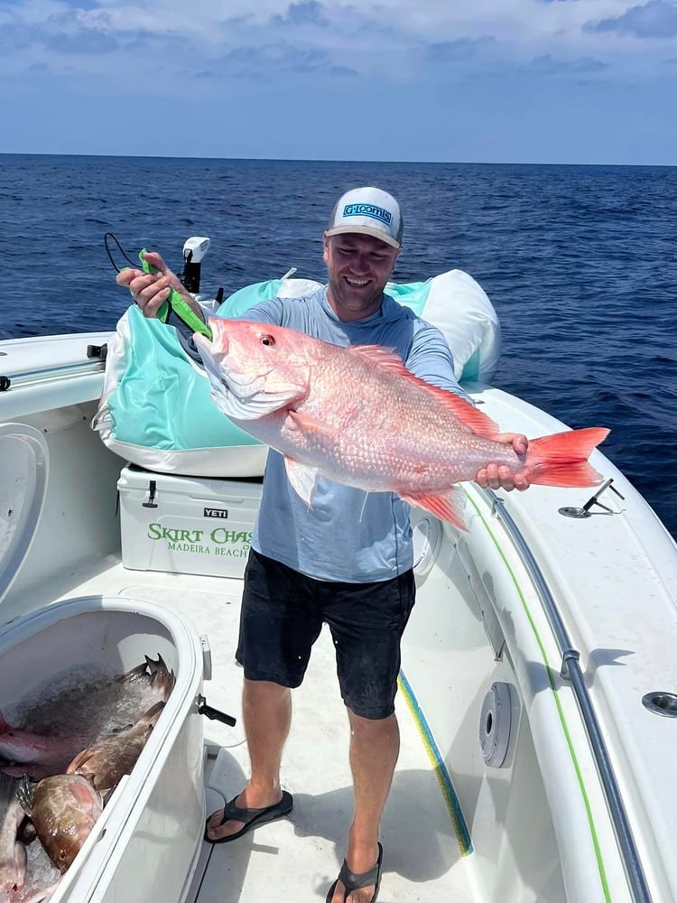 Luxury Bay Fishing Trips In Bradenton