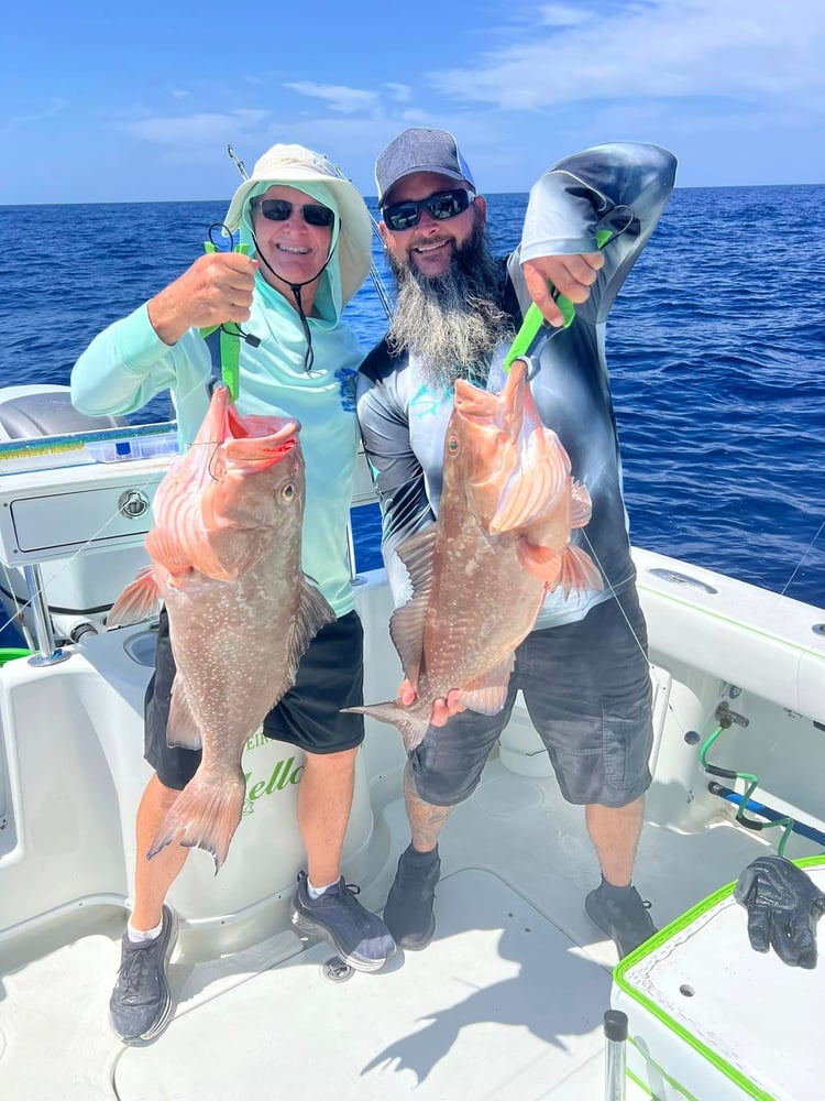 Luxury Bay Fishing Trips In Bradenton