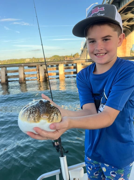 Fishing Wildlife And Sandbar Combo In Sarasota