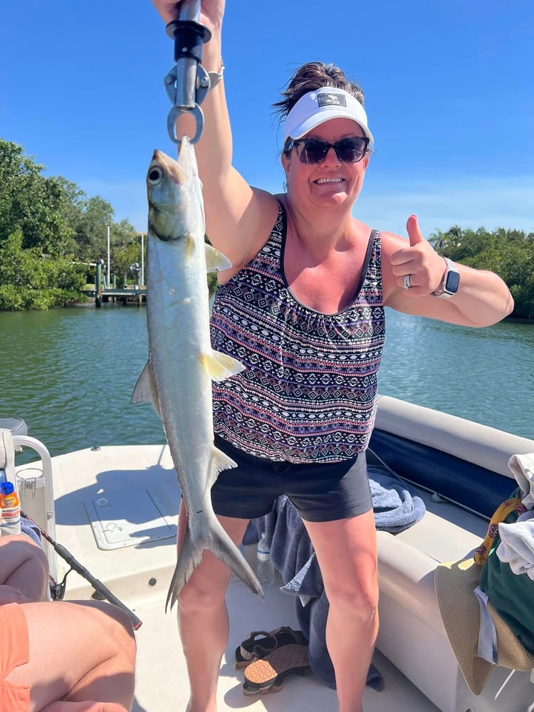 Fishing Wildlife And Sandbar Combo In Sarasota