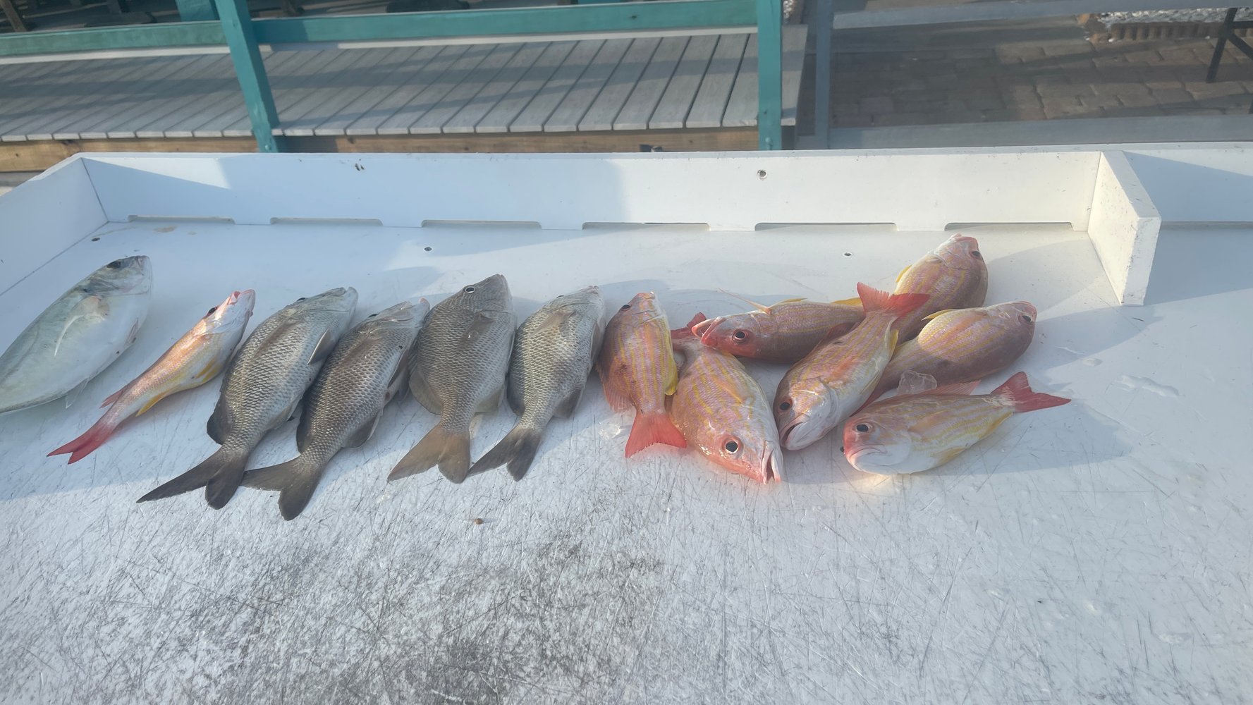 Sunset Fishing Trip In Fort Myers Beach