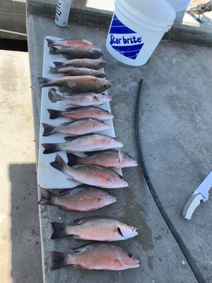 Miami Fishing In Coral Gables