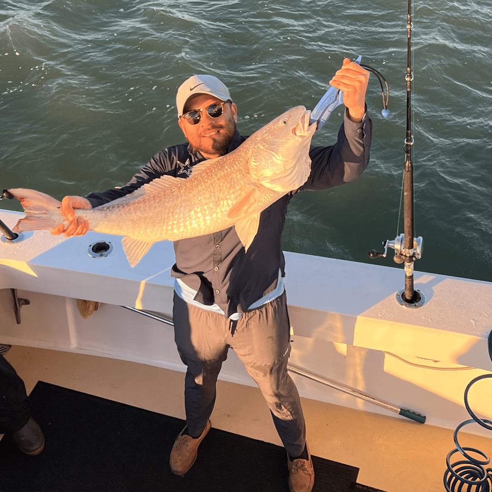 6 Hour Jetty/Inshore In Galveston