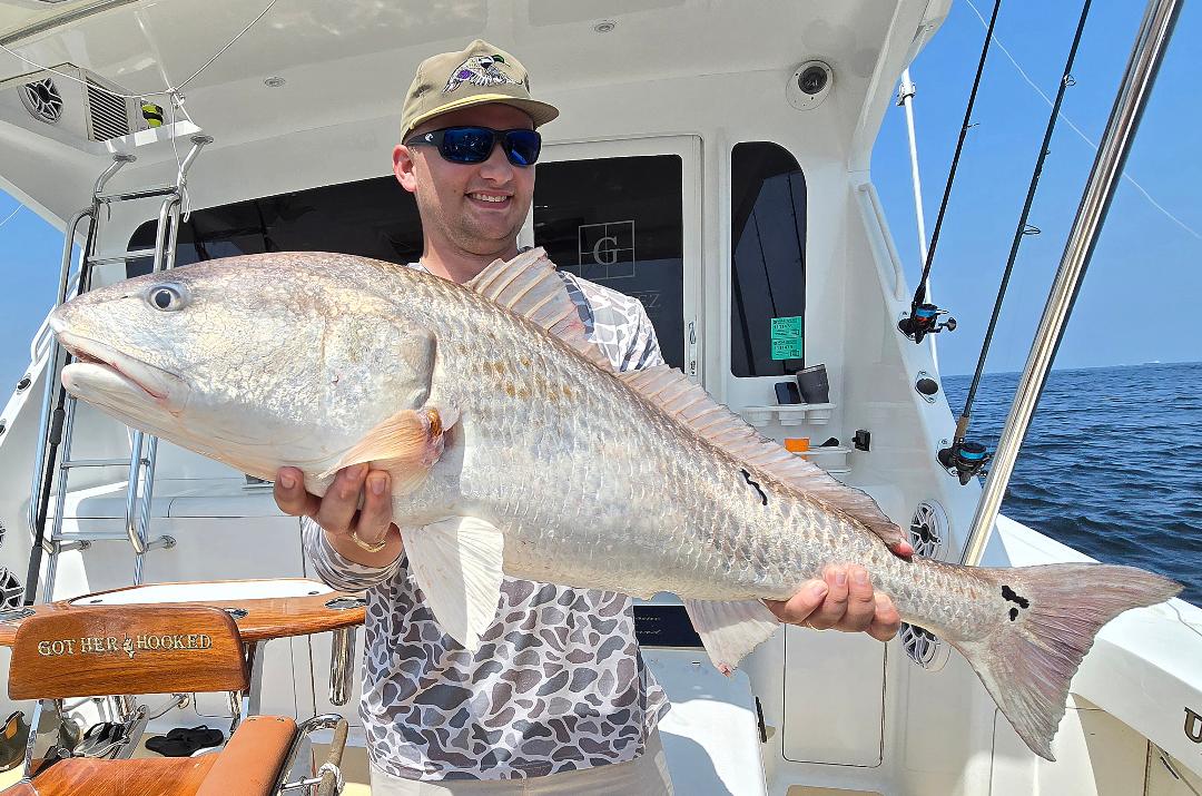 6 Hour Jetty/Inshore In Galveston