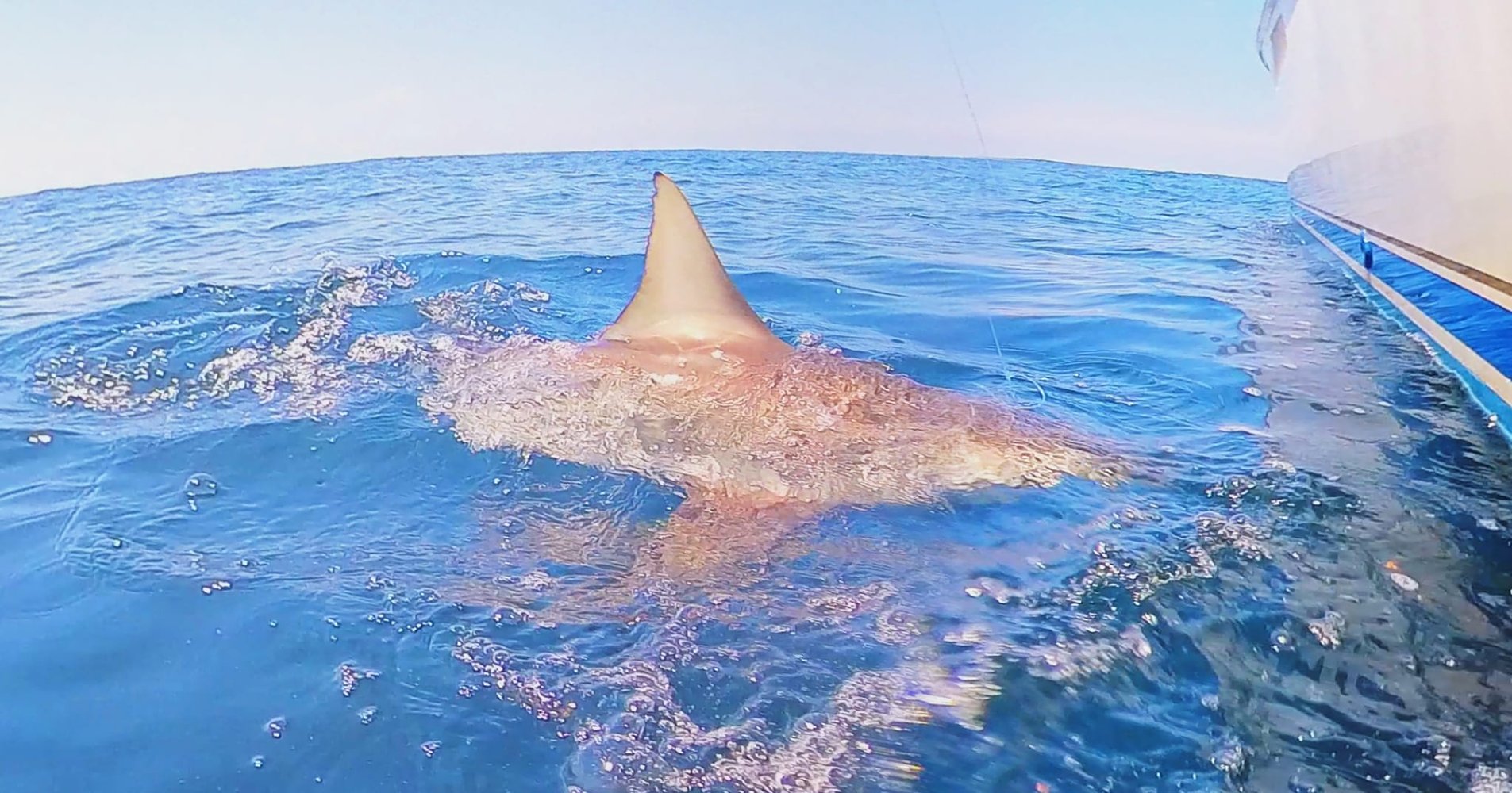 12 Hour Deep Sea In Galveston