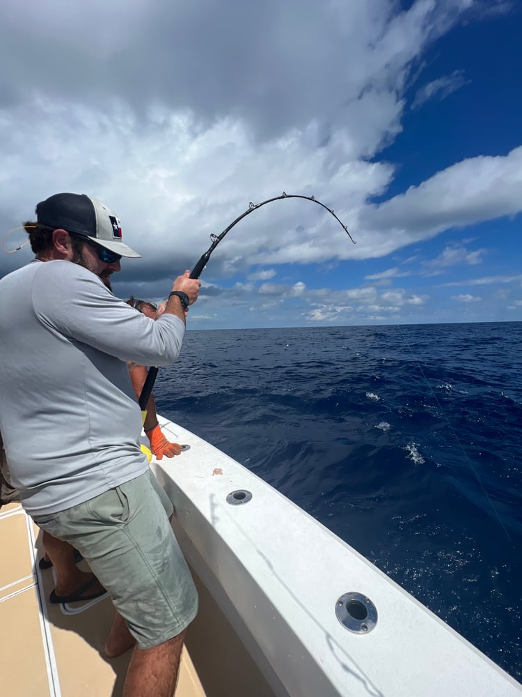 12 Hour Deep Sea With Chef In Galveston