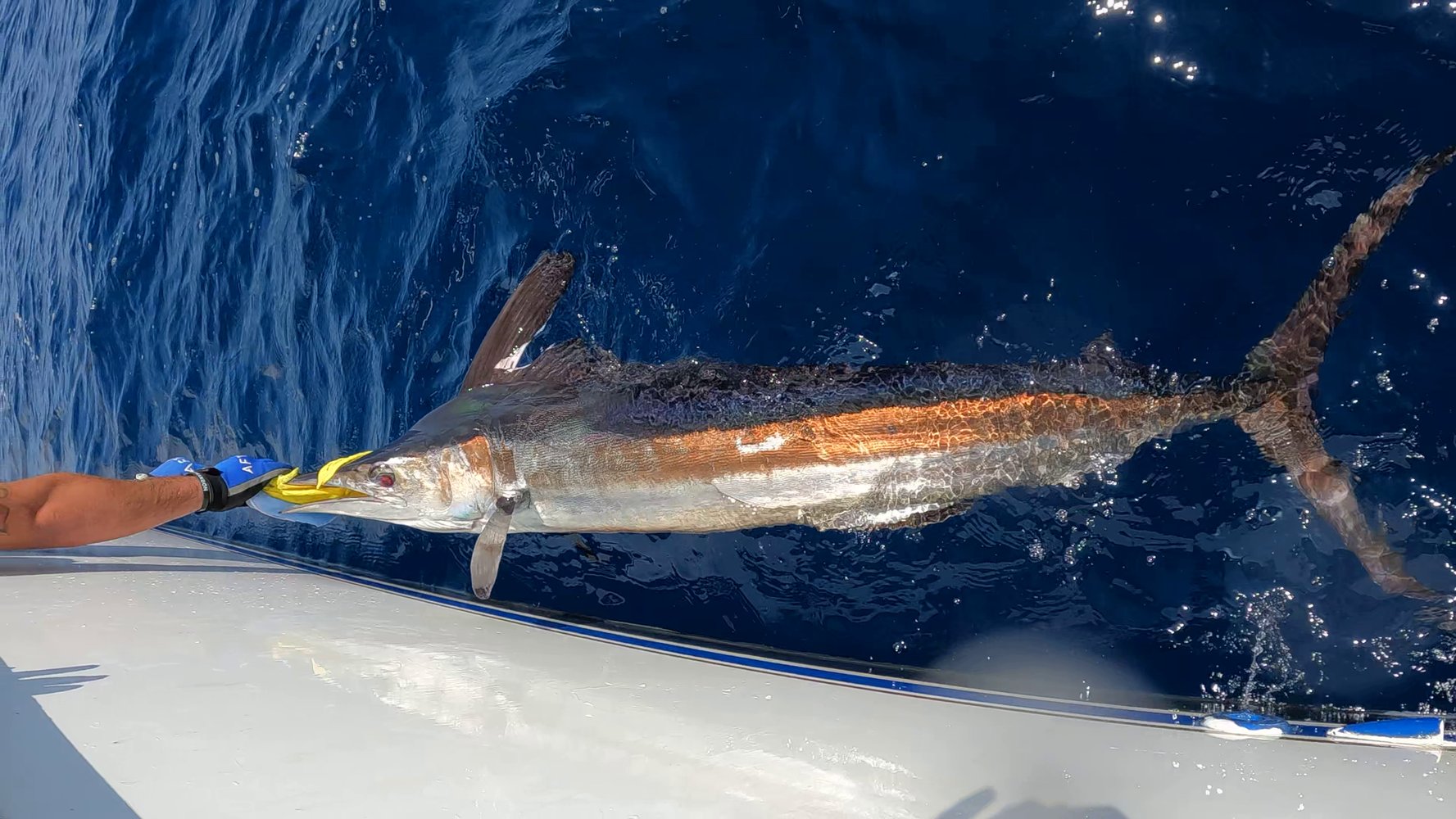 36 Hour Deep Sea - 55' Viking In Galveston