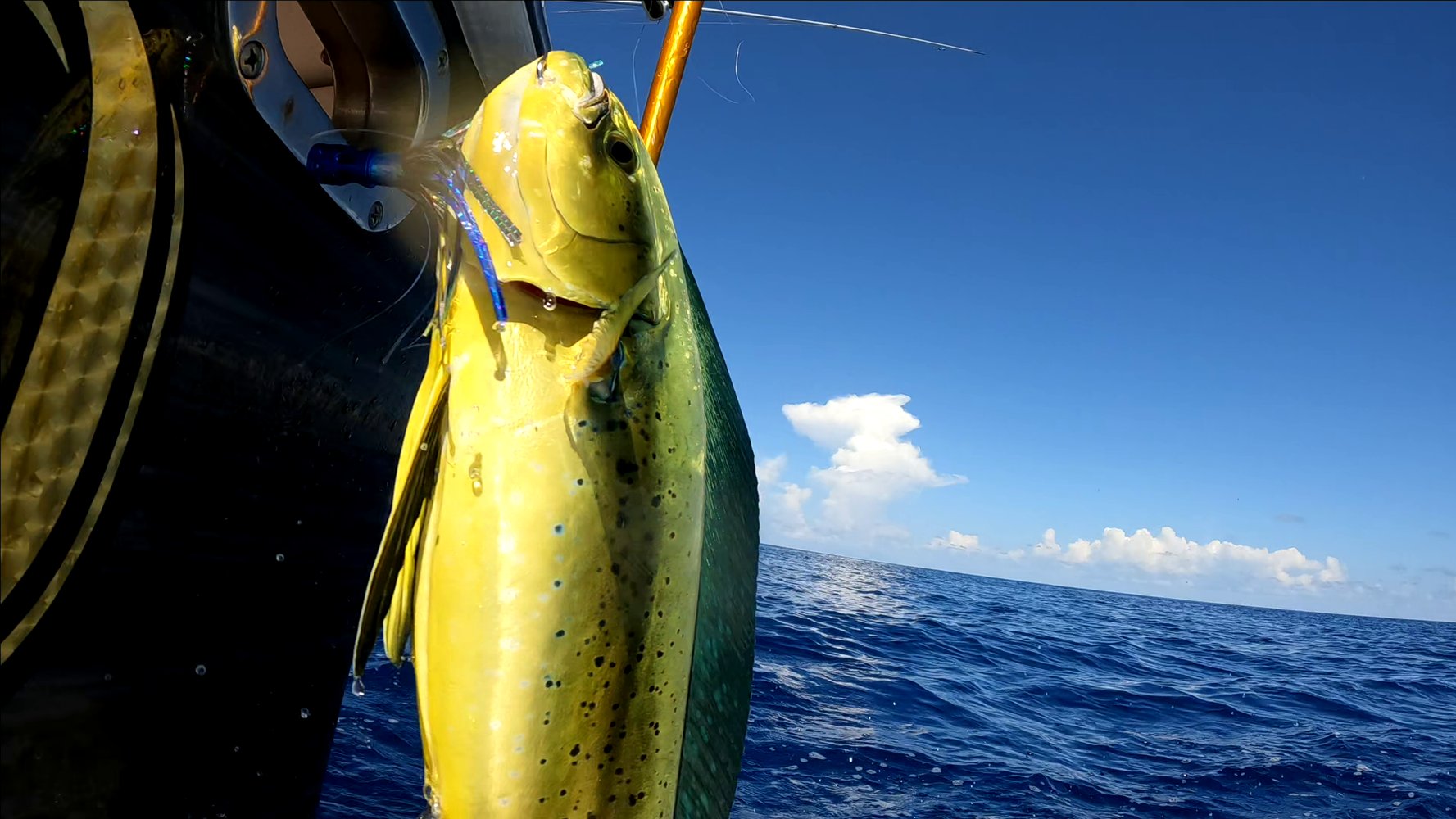 48 Hour Deep Sea - 55' Viking In Galveston