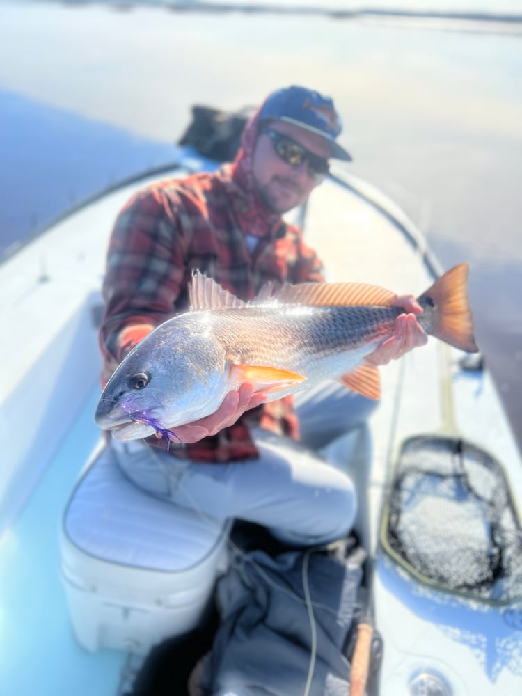 Fly Fishing & Light Tackle Charter In Fernandina Beach