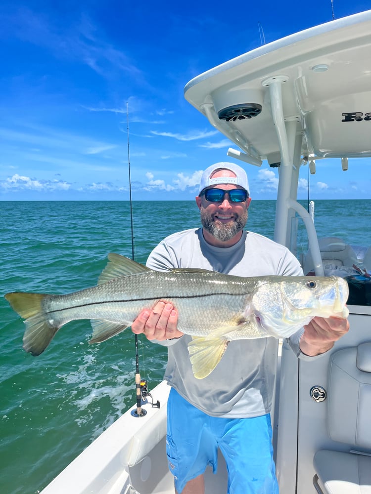 Hook 'em For Lunch In Naples