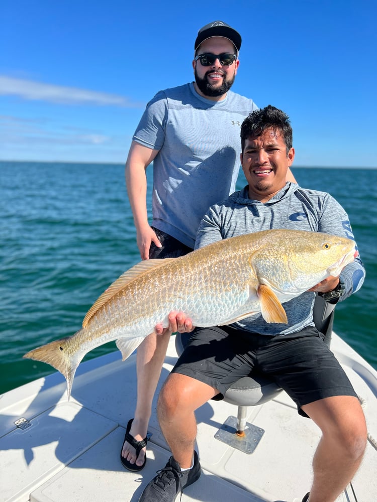 Hook 'em For Lunch In Naples