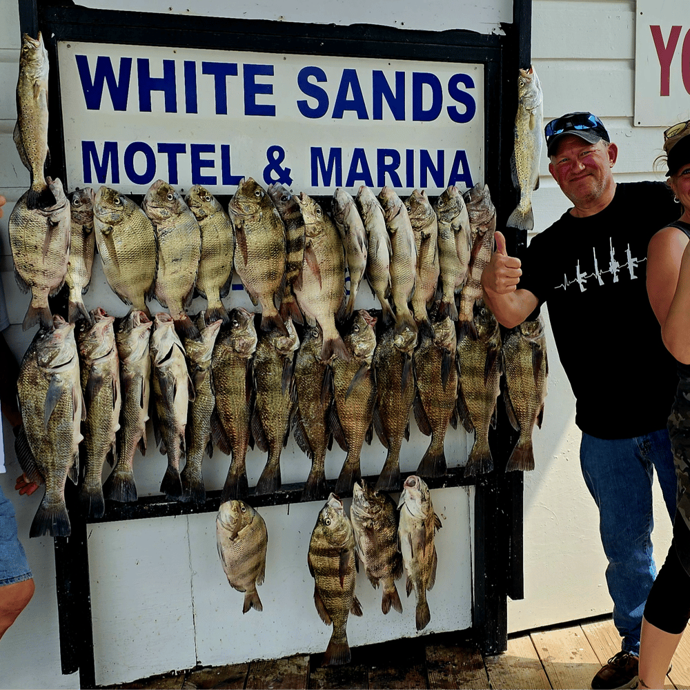 5 Hour Pro Flats In Port Isabel