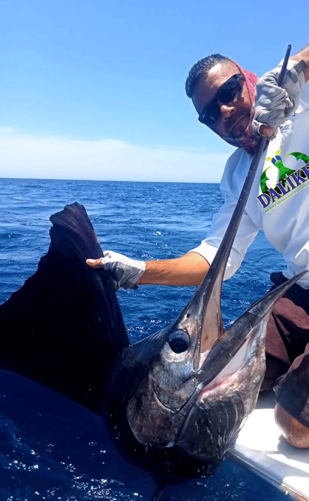 26ft Mako Half Day In San José Del Cabo