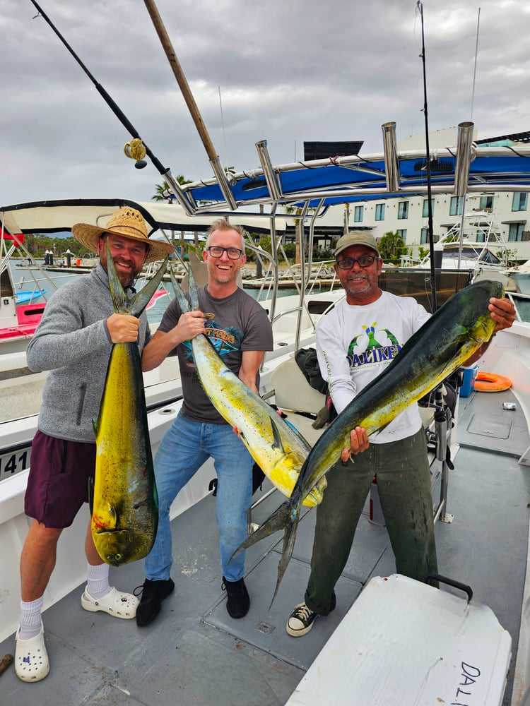 26ft Mako Half Day In San José Del Cabo