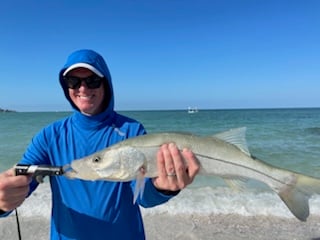 NO BOAT - NO Seasickness Beach Trip In Sarasota