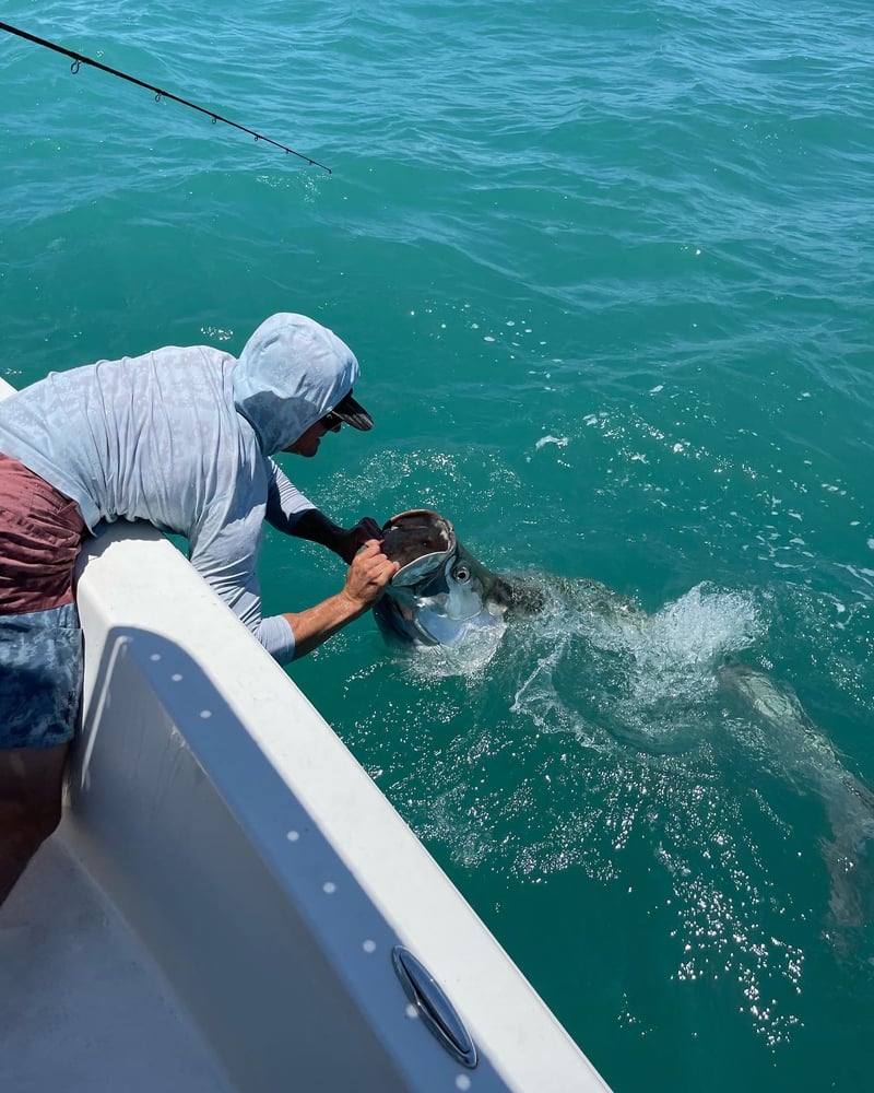 4 - 8 Hour Trips With Capt. Logan In Saint James City