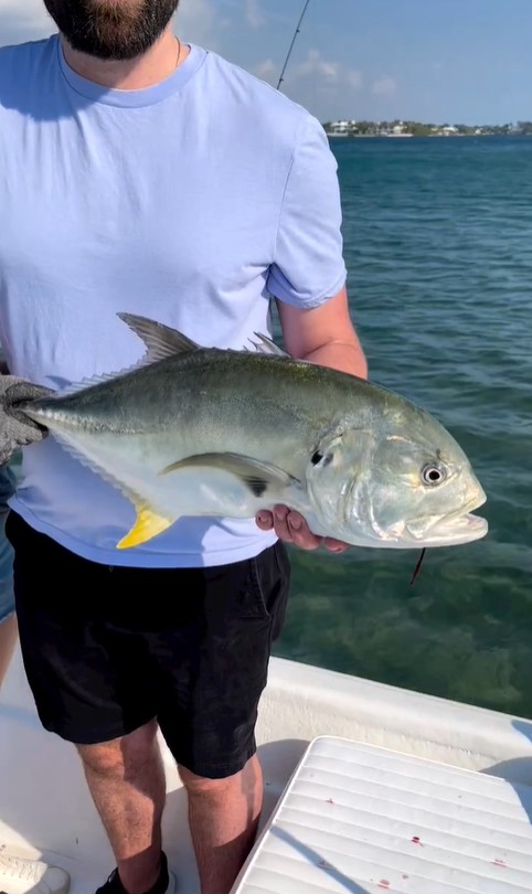 Deep Sea Trolling In Boynton Beach