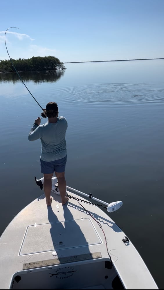 New Smyrna Beach - Mosquito Lagoon In Edgewater