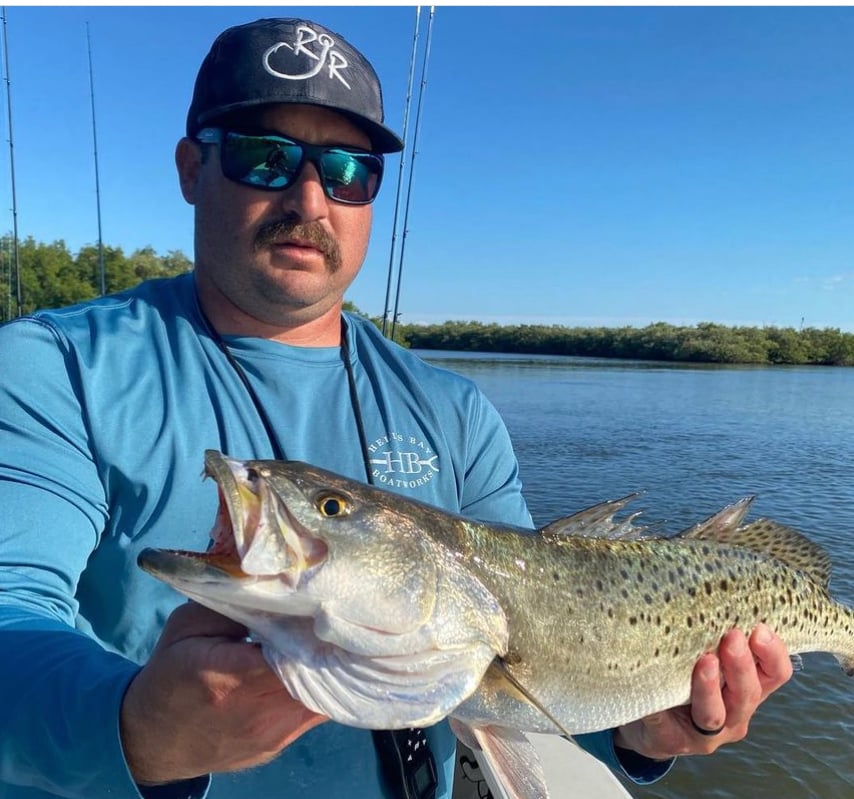 New Smyrna Beach - Mosquito Lagoon In Edgewater