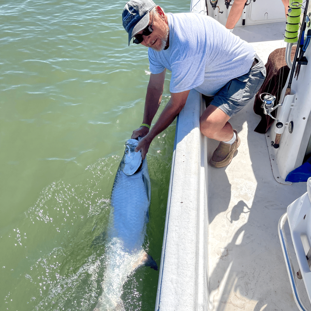 Tarpon Trips In Daytona Beach