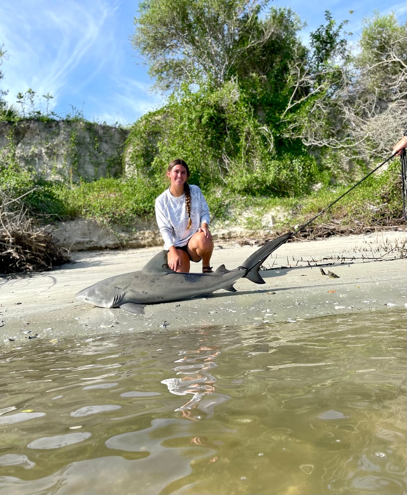 Shark Fishing In Daytona Beach