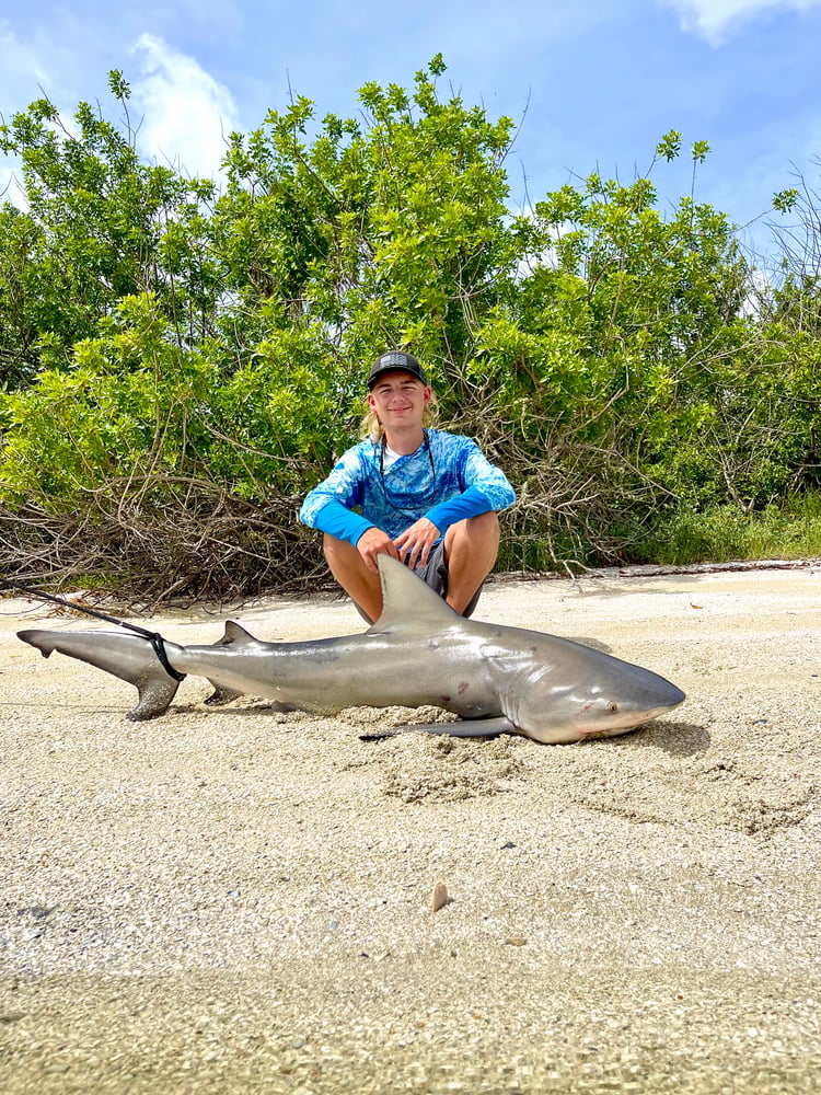 Shark Fishing In Daytona Beach