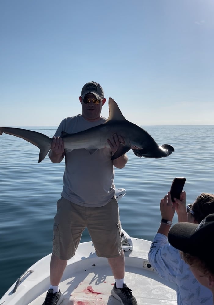 Shark Fishing In Daytona Beach