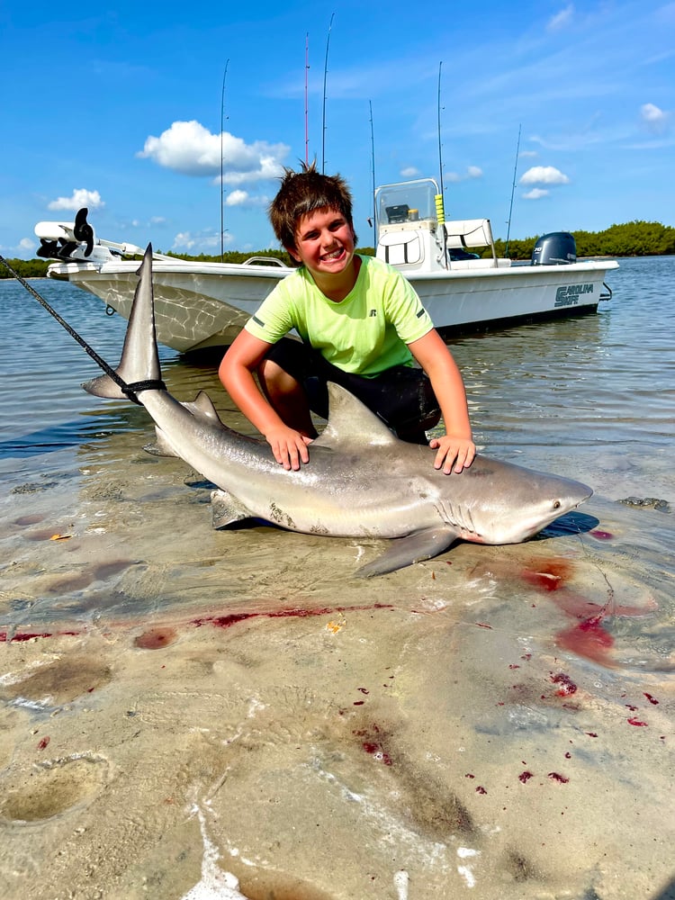 Shark Fishing In Daytona Beach