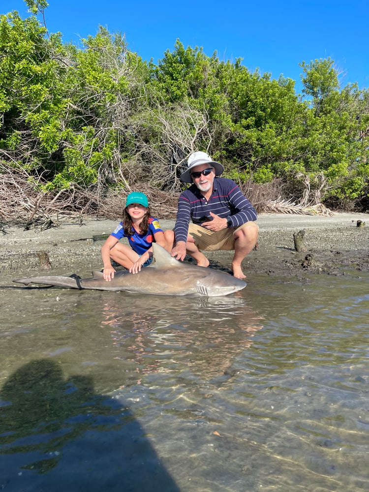 Shark Fishing In Daytona Beach