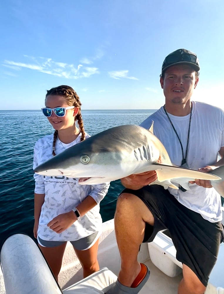 Shark Fishing In Daytona Beach