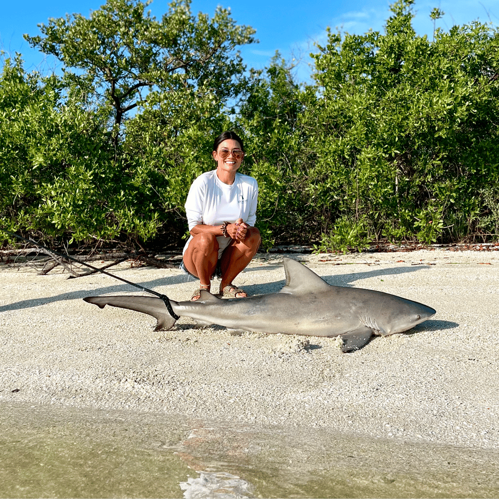 Shark Fishing In Daytona Beach