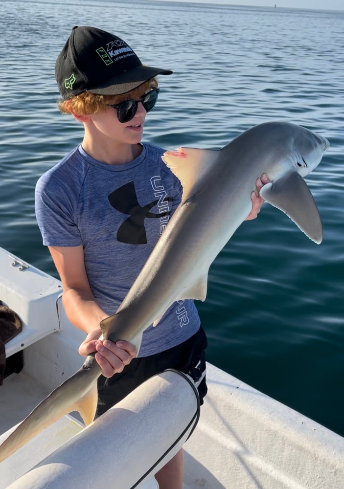 Shark Fishing In Daytona Beach