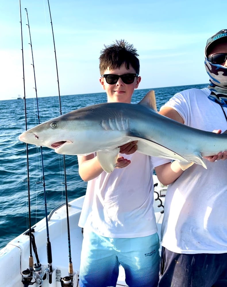 Shark Fishing In Daytona Beach