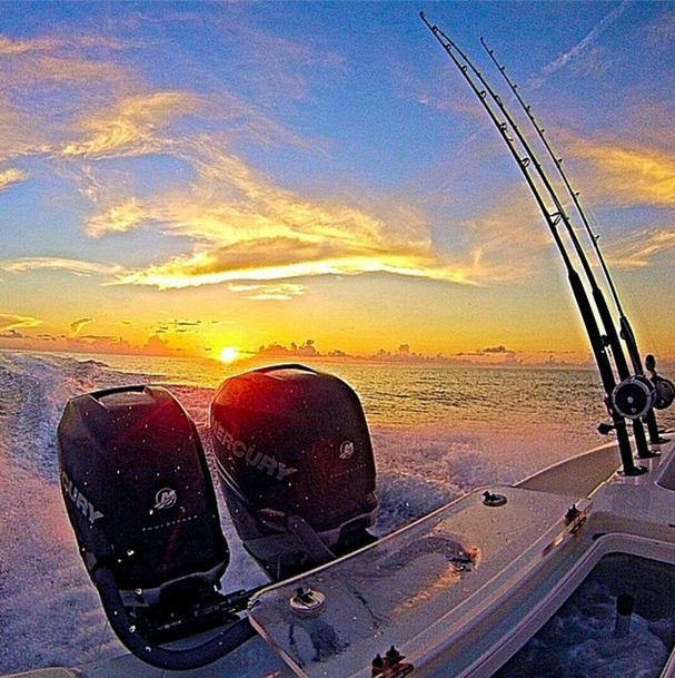 Galveston Shark Hunt!- 33' In Galveston